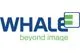 Whale Imaging