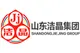 Shandong Jiejing Group Corporation