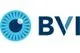 BVI Medical