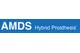 Ascyrus Medical Dissection Stent Hybrid Prosthesis (AMDS)