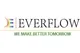 Everflow Global Ventures Pvt Ltd