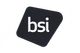 BSI Consulting