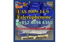 CAS 1009-14-9 Valerophenone