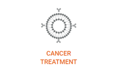 Liposomes - Hollow Nanospheres for Cancer Therapy