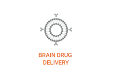Liposomes - Hollow Nanospheres for Brain Drug Delivery