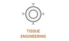 Liposomes - Hollow Nanospheres for Tissue Engineering