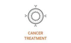 Exosomes - Extracellular Vesicles for Cancer Treatment