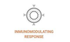 Exosomes - Extracellular Vesicles for Immunomodulating Response