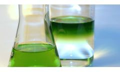 Heat Exchangers Solutions for Solvent Sector