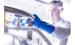 Cryopreservation Process, Methods and Storage Solution Explored