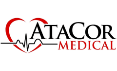 Results support feasibility of entirely extracardiac, minimally invasive, temporary pacing system