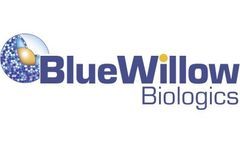 BlueWillow Biologics Announces Positive Interim Results from Phase 1 Trial of Intranasal Anthrax Vaccine