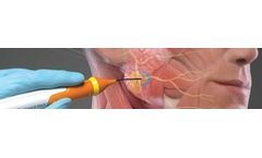 Healthy peripheral nervous system for nerve protection sector