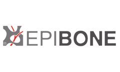 Bridging Art & Science: EpiBone’s First Artist in Residence