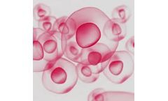 Glyco-engineered Mammalian Cell Expression System Released at CD BioGlyco