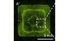 Acoustic Bioprinter for Bridging from Bench to Bedside