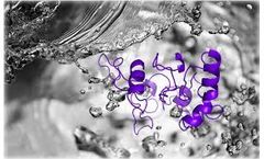 Profacgen Launched Antibiotic-free Expression System for Protein Expression Service
