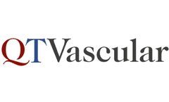 Chocolate  PTCA Balloon Catheter for pre-dilatation of an occluded right coronary artery - Case Study