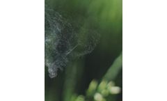 Clean air solutions for allergens area