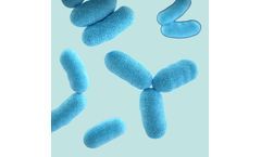 Clean air solutions for bacteria area