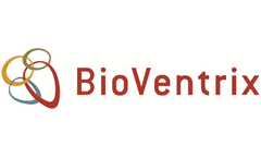 BioVentrix Announces Appointment of Accredited Public Company Director, Raymond W. Cohen, to its Board of Directors