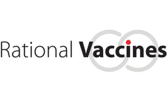 Vaccine-induced antibodies target sequestered viral antigens to prevent ocular HSV-1 pathogenesis, preserve vision, and preempt productive neuronal infection