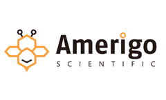 Amerigo Scientific Delivers Highly Efficient Transfection Reagents Coming with Detailed Selection Guide
