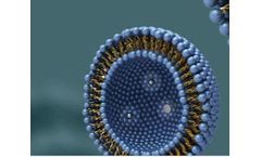 Introduction of Chitosan as Nano-drug Delivery Carrier