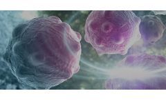 CD Biosciences Launches Substrate-Chromogens for Immunohistochemistry