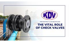 Preventing Fluid Backflow: The Vital Role of Check Valves