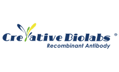 Cell Transplantation Promising for Treatment of Biliary Diseases   