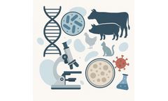 Veterinary Therapeutic Antibodies Gain Momentum—Biotech Teams Step Up to Meet Industry Demand