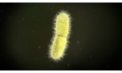 Infection Control Resources to Identify Klebsiella and Other Pathogens in Healthcare Settings throughout Puerto Rico