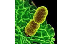 Infection Control Resources to Detect Klebsiella and Other Pathogens in Healthcare Environments