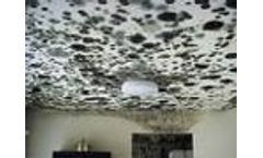 After the deluge of flooding the politics of toxic mold