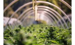 Techcomp Products for Medical Marijuana