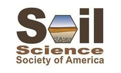 Drought stress responses and recovery of Texas x Kentucky hybrids and Kentucky bluegrass genotypes in temperate climate conditions