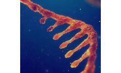 Analysis of Differential Gene Expression (DGE) in RNA Sequencing