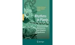 Rhythms in Plants