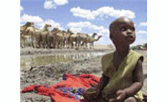 World Health Report calls for return to primary health care approach