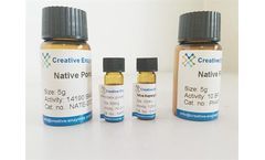 Concentrated alkaline protease for Medical