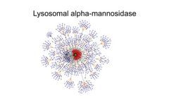 What are Host Cell Proteins and Its Effect on Biopharmaceutical Development