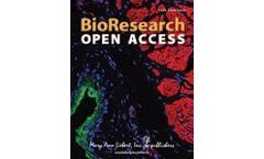 BioResearch Open Access Journal