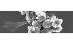 qCell T Series for Cell Analysis
