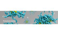 qCell T Series for Polyelectrolyte Adsorption Studied