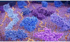 The Reality and Future of Peptide Drugs